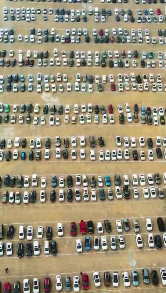 体操赔率刷新纪录,竞猜热度飙升 体操赔率刷新纪录,竞猜热度飙升