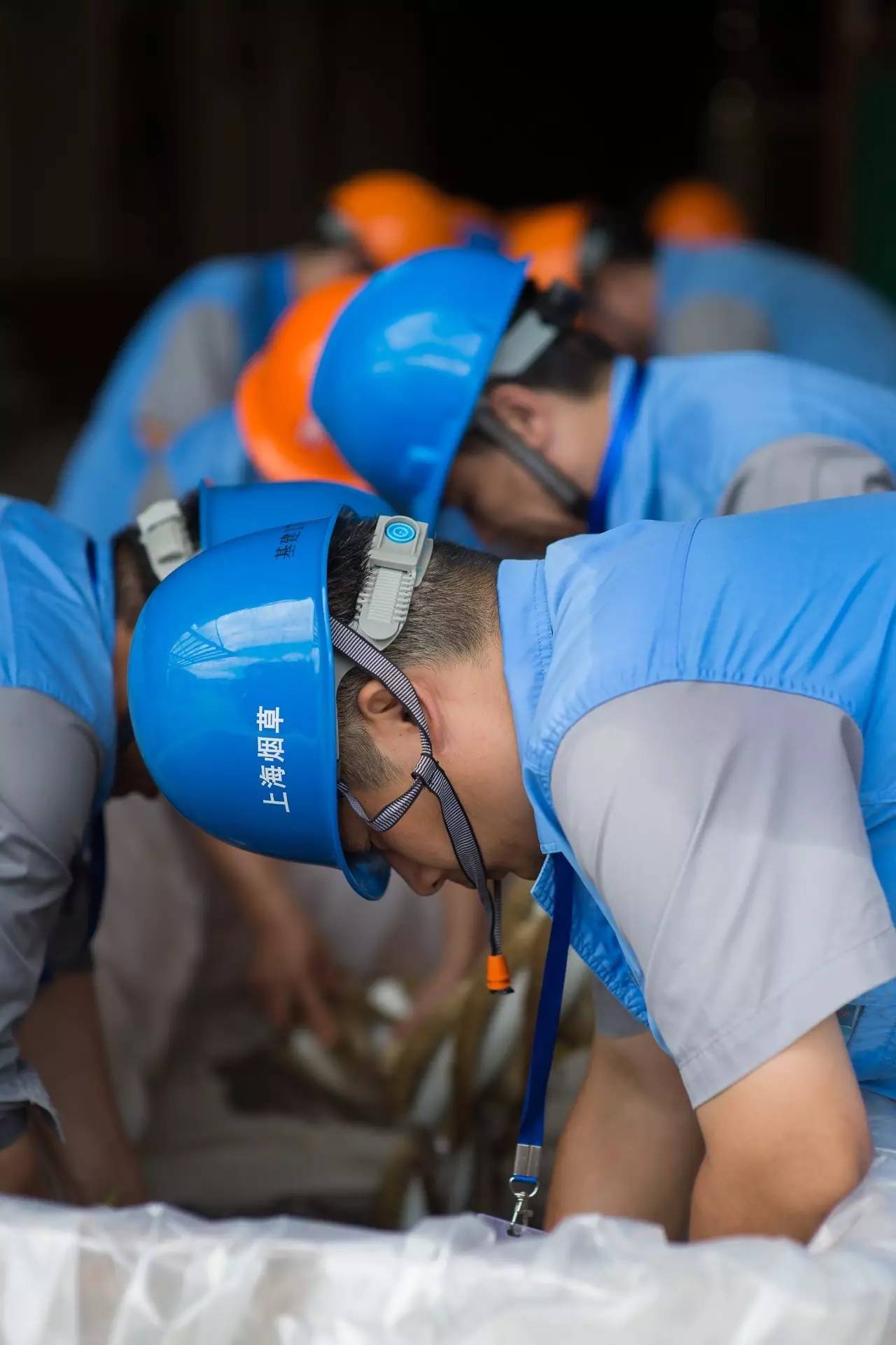 体操赔率刷新纪录,竞猜热度飙升 体操赔率刷新纪录,竞猜热度飙升